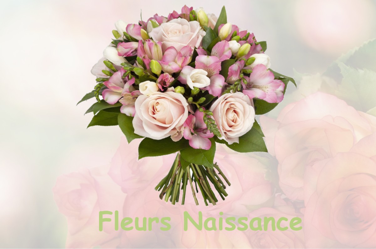fleurs naissance EPREVILLE-PRES-LE-NEUBOURG
